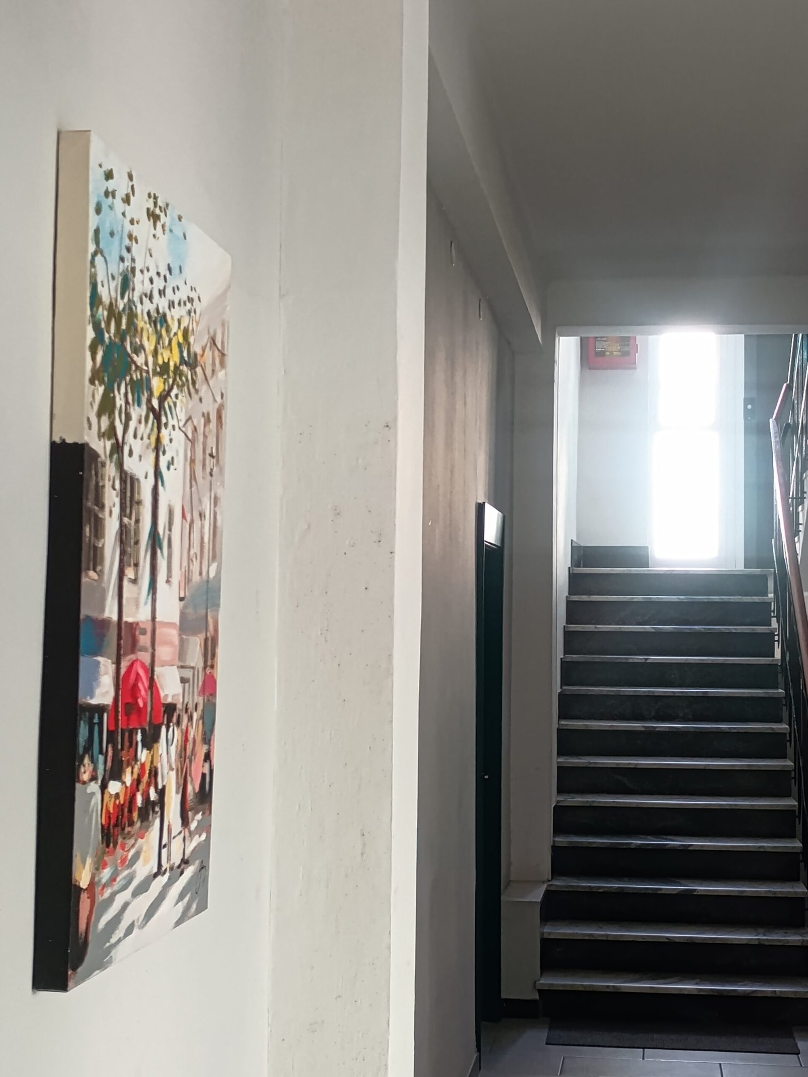 img 20260210 115536654