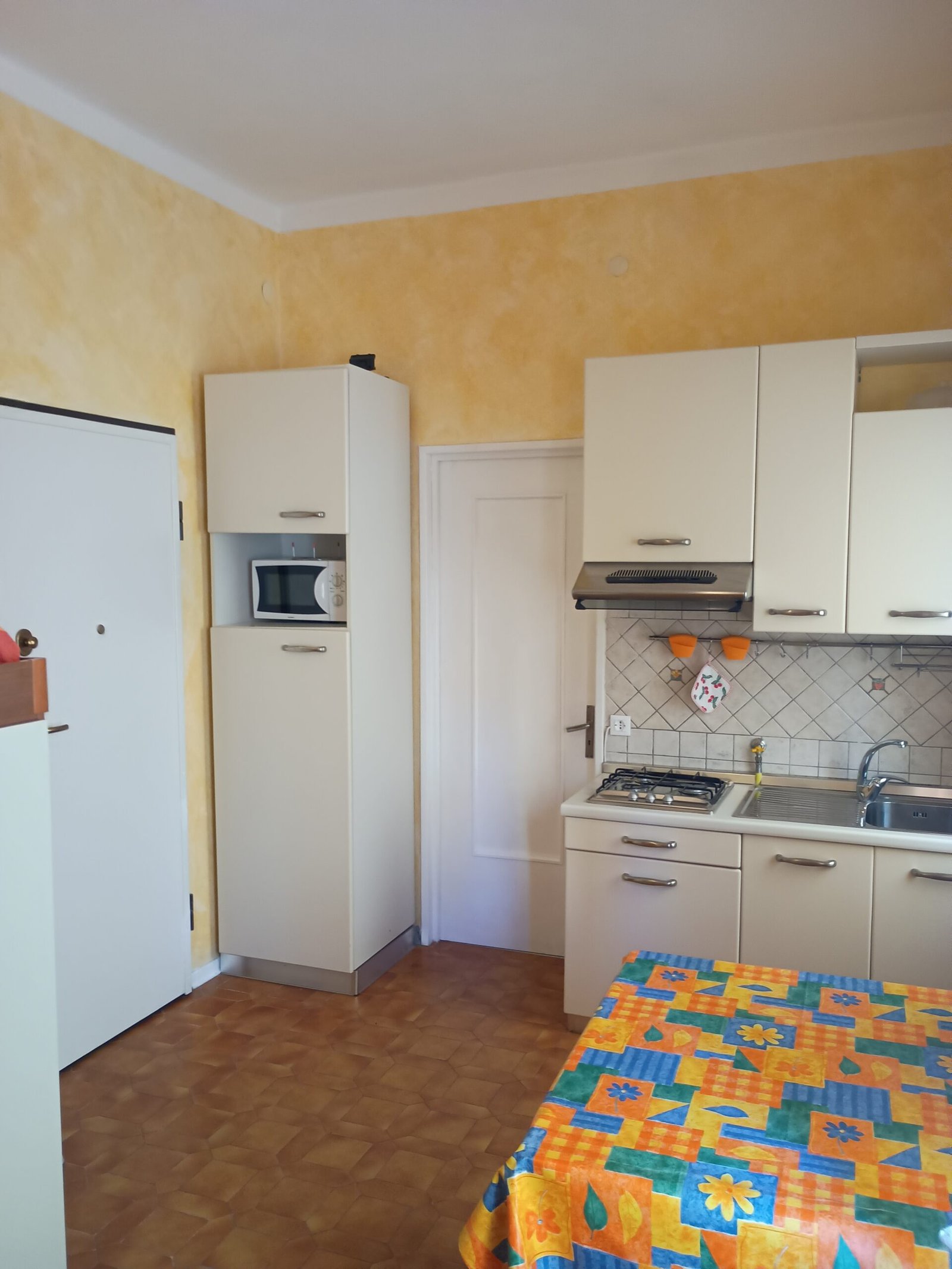 img 20260210 123624619