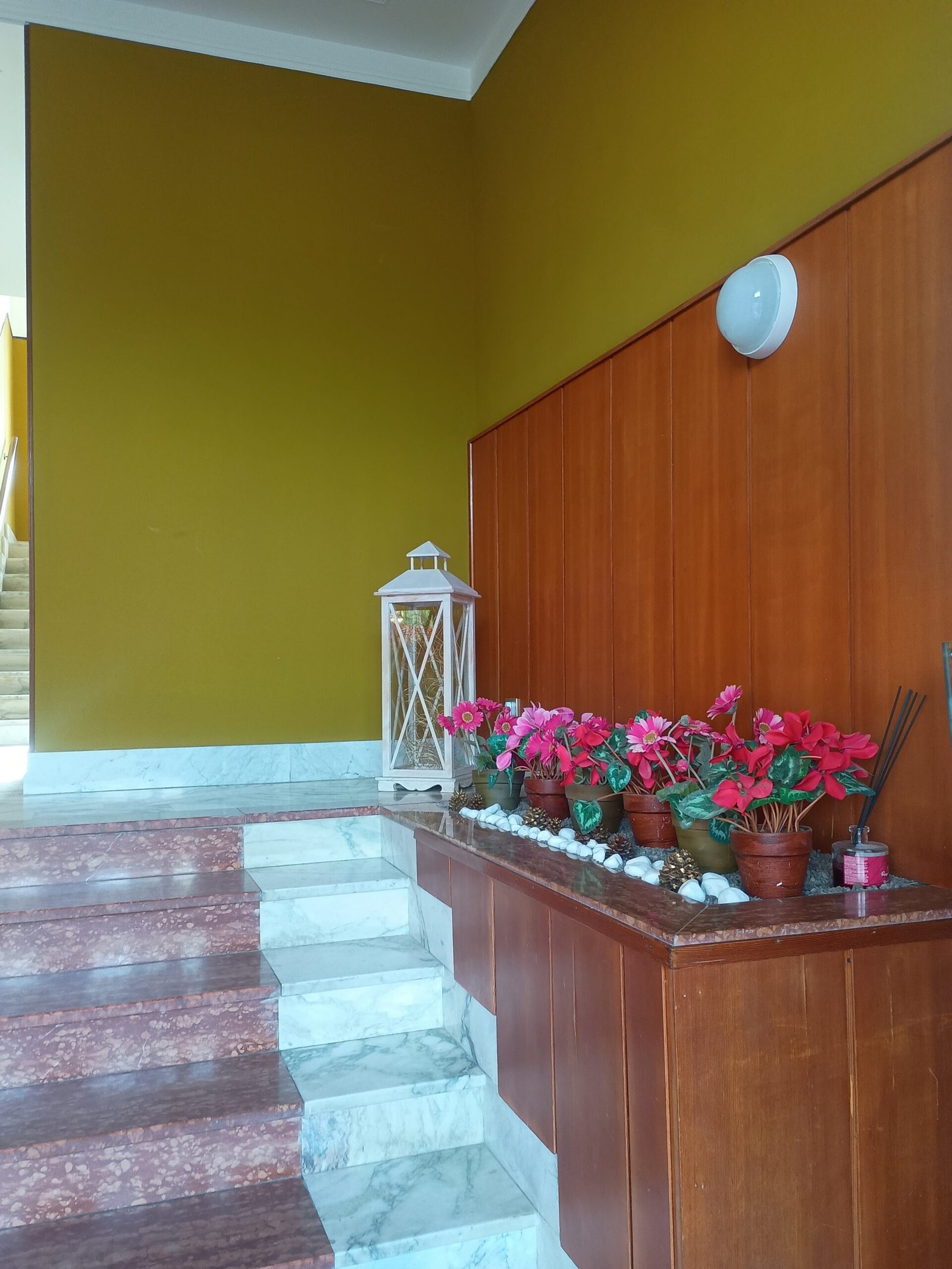 ingresso